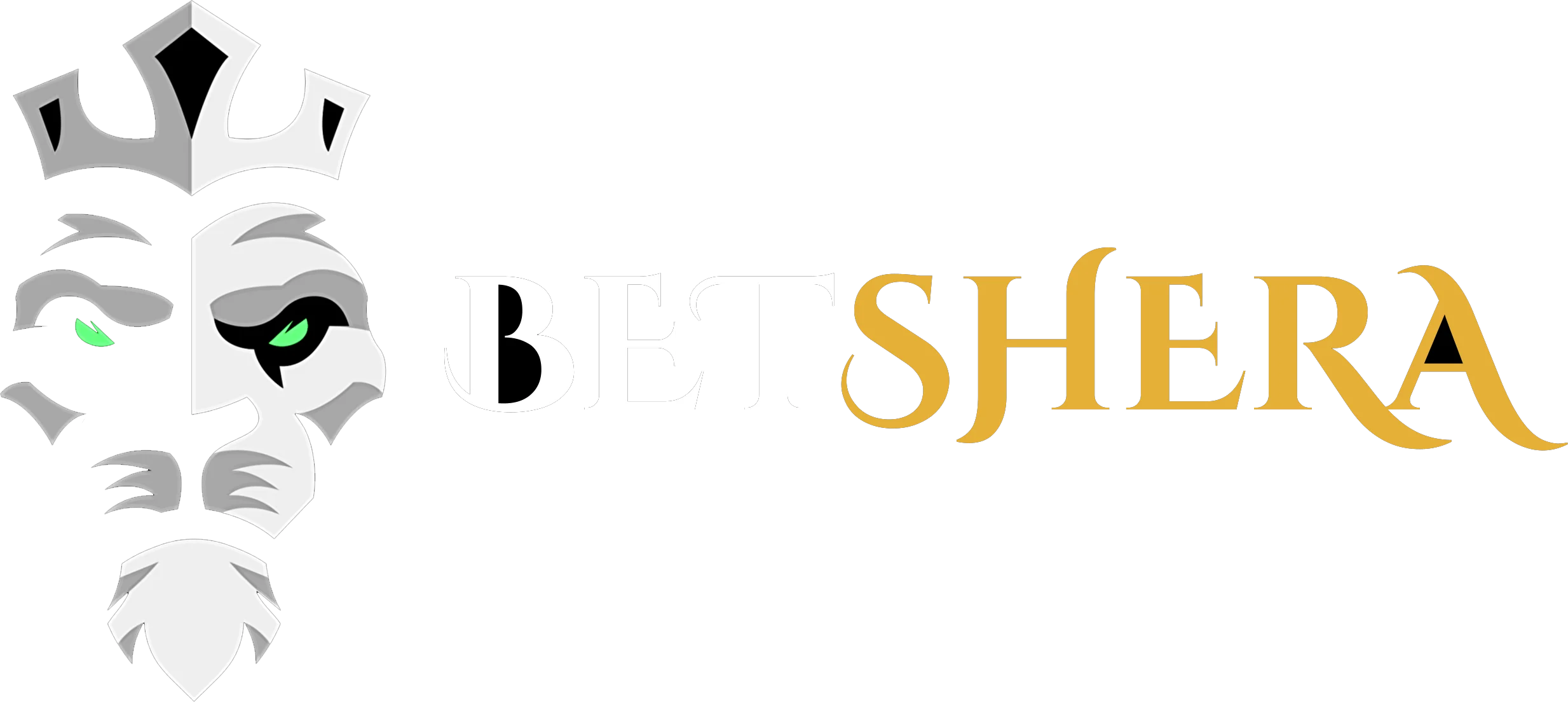Betshera logo website